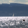 37. Graupner Bodensee-Cup 19.09.2015