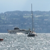 37. Graupner Bodensee-Cup 19.09.2015
