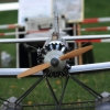 37. Graupner Bodensee-Cup 19.09.2015