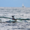 37. Graupner Bodensee-Cup 19.09.2015