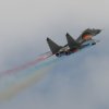 1dfh-40jahre-dmfv06072012_021