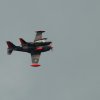 1dfh-40jahre-dmfv06072012_030