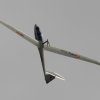 1dfh-40jahre-dmfv06072012_073