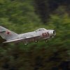 1dfh-40jahre-dmfv06072012_093