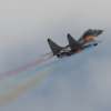 1dfh-40jahre-dmfv06072012_021