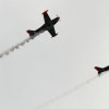 1dfh-40jahre-dmfv06072012_029