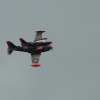 1dfh-40jahre-dmfv06072012_030