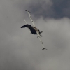 G 120TP, Grob Aircraft,