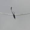 1dfh-40jahre-dmfv06072012_072