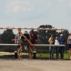 1dfh-40jahre-dmfv06072012_078