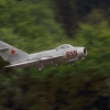 1dfh-40jahre-dmfv06072012_093