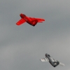 1dfh-40jahre-dmfv06072012_094