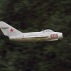 1dfh-40jahre-dmfv06072012_095