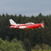 1dfh-40jahre-dmfv06072012_101