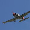 DMFV Jubiläums-Airmeeting