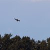 DMFV Jubiläums-Airmeeting