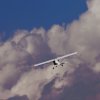 DMFV Jubiläums-Airmeeting