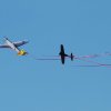 DMFV Jubiläums-Airmeeting