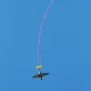 DMFV Jubiläums-Airmeeting