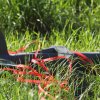 DMFV Jubiläums-Airmeeting