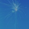 DMFV Jubiläums-Airmeeting