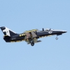 DMFV Jubiläums-Airmeeting