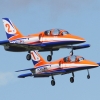 DMFV Jubiläums-Airmeeting