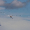 DMFV Jubiläums-Airmeeting