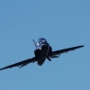 DMFV Jubiläums-Airmeeting