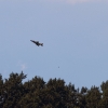 DMFV Jubiläums-Airmeeting