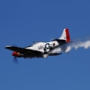 DMFV Jubiläums-Airmeeting
