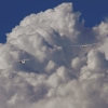 DMFV Jubiläums-Airmeeting