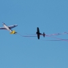 DMFV Jubiläums-Airmeeting
