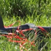 DMFV Jubiläums-Airmeeting