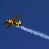DMFV Jubiläums-Airmeeting