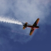 DMFV Jubiläums-Airmeeting