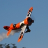 DMFV Jubiläums-Airmeeting