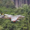 DMFV Jubiläums-Airmeeting