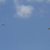 DMFV Jubiläums-Airmeeting