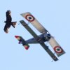 DMFV Jubiläums-Airmeeting