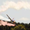 DMFV Jubiläums-Airmeeting