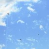 DMFV Jubiläums-Airmeeting