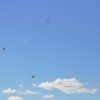 DMFV Jubiläums-Airmeeting