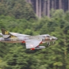 DMFV Jubiläums-Airmeeting