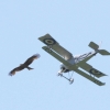 DMFV Jubiläums-Airmeeting