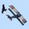 DMFV Jubiläums-Airmeeting