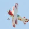DMFV Jubiläums-Airmeeting