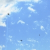 DMFV Jubiläums-Airmeeting