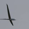 45. internationale Hahnweide Segelflugwettbewerb
