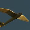 45. internationale Hahnweide Segelflugwettbewerb